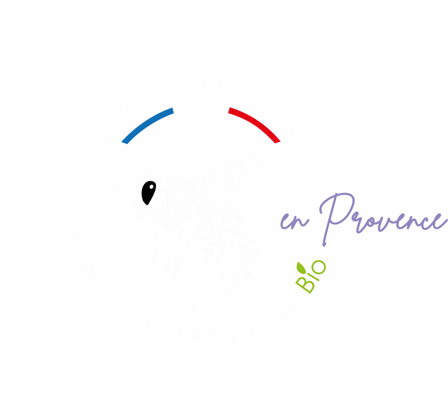 Les ruchers de Marie, apicultrice production de Miel toutes fleurs et miel de lavande, gelée royale en Haute Provence