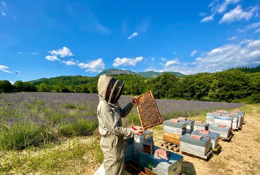 Marie Della Favera productrice de miels et gelée royale BIO